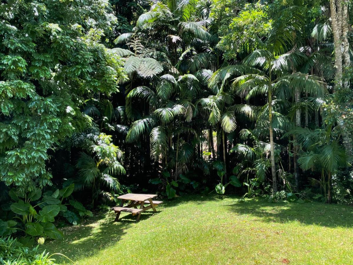 Romantic Cottage, Tamborine Mountain المظهر الخارجي الصورة