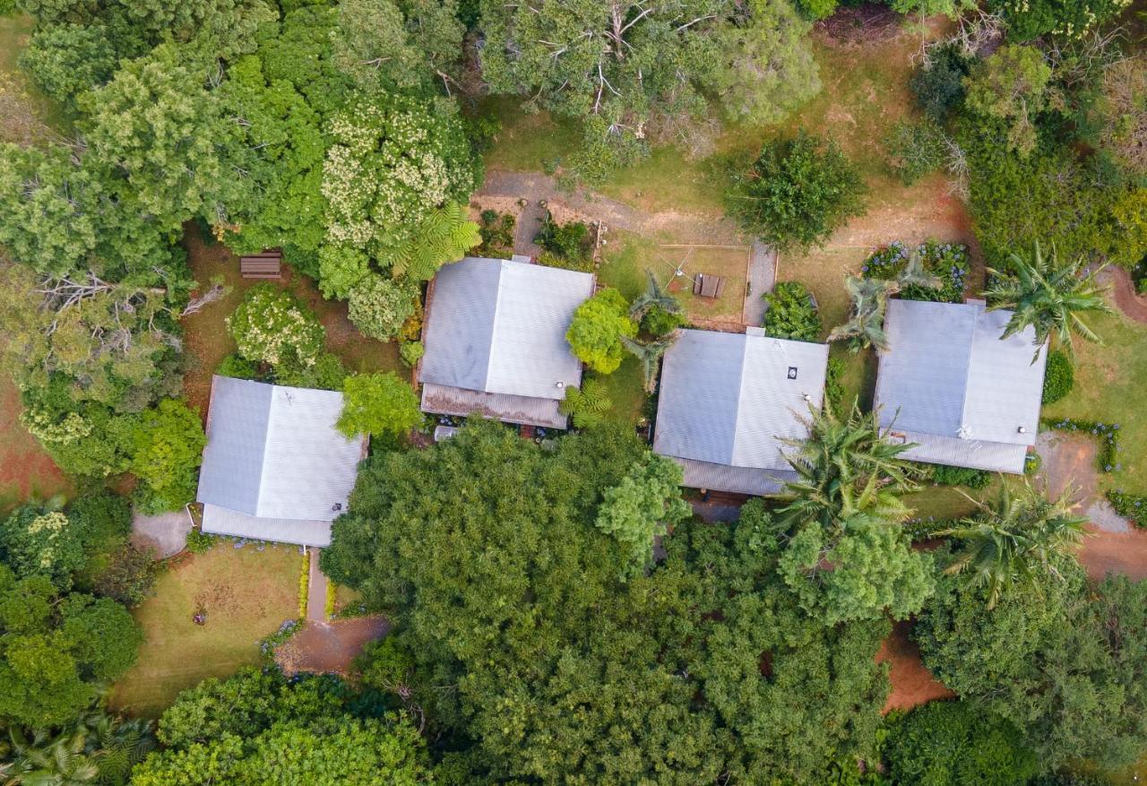 Romantic Cottage, Tamborine Mountain المظهر الخارجي الصورة